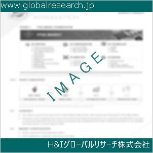 グローバルリサーチ調査資料のイメージ